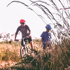 10 Easy Forms of Exercise